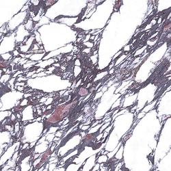 Level Marmi - Calacatta Viola